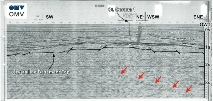 Figure 9: Seismic reflection profile C 8503, provided by OMV. The profile crosses the borehole St