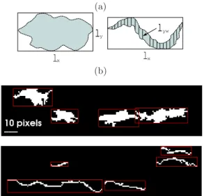 FIG. 14. (a) Left panel shows a bounding box with sides l x and l y embedding a depinning cluster