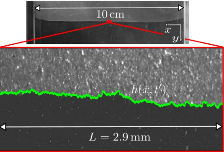 Fig. 3 shows an extracted front line h(x, t) superim- superim-posed on the corresponding raw image