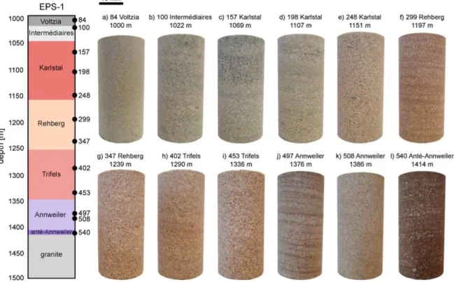 Figure 2. Photographs of each of the twelve sandstones (20 mm diameter core samples nominally 40  833 