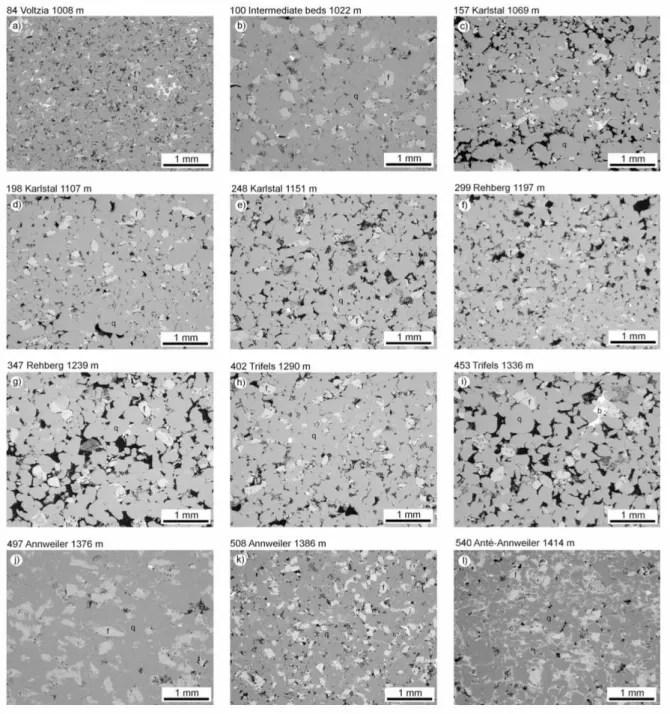 Figure 3. Backscattered scanning electron microscope (BSE) images for each of the twelve sandstones  840 