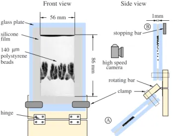 FIG. 1. 共 Color online 兲 Illustration of the experimental setup viewed from the front and the side