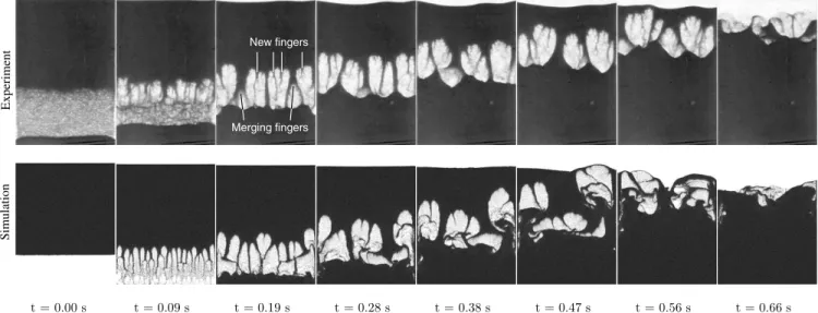 Figure 4 shows experimental and numerical images of the granular Rayleigh-Taylor instability: A layer of grains  dis-placing a layer of air in a gravitational field
