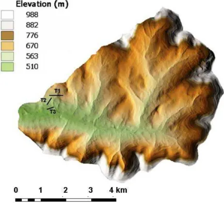 Fig. 2. Landscape soil moisture sampling transects (Mehta et al., 2004) overlaid on a digital elevation model of Town Brook