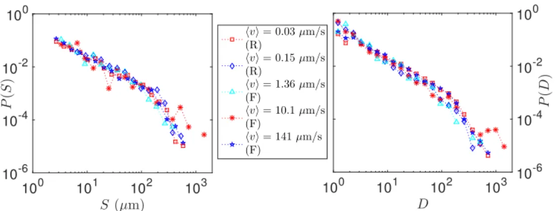 Figure 4. Probability distributions functions of the size S and normalized duration D of global avalanches detected for five different experiments, performed in different conditions leading to very different average crack front velocity, from around 0.02 t