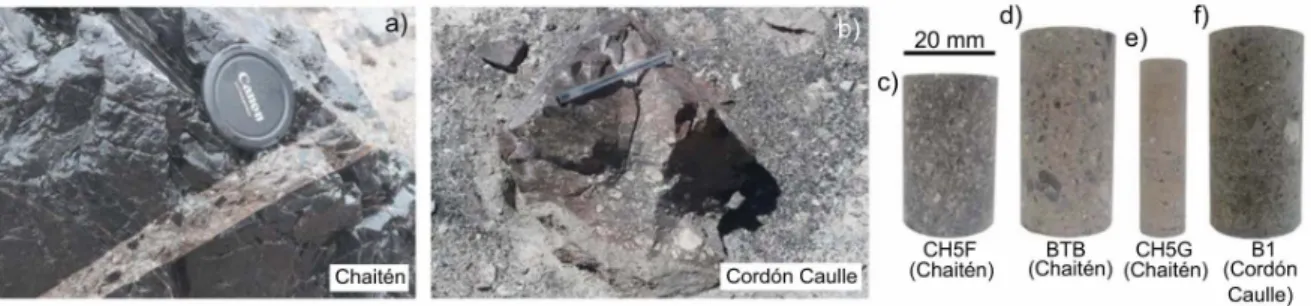Figure 2. (a) Photograph of a large bomb in the crater of the 2008 Chaitén eruption containing a  688 
