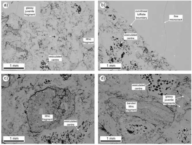 Figure  3.  Backscattered  scanning  electron  microscope  (SEM)  images  of  the  BTB  tuffisite