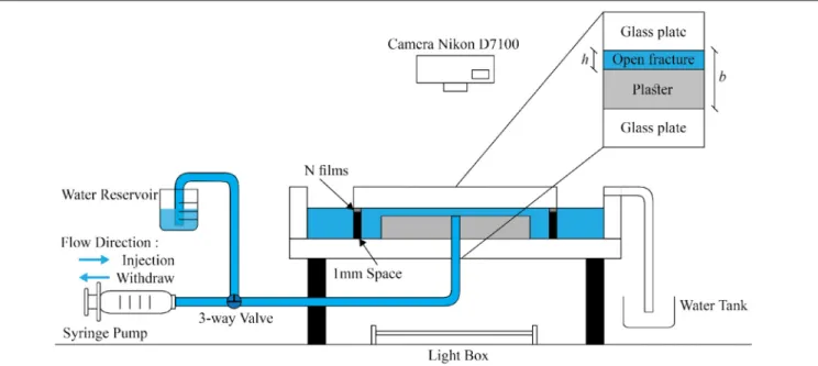 FIGURE 1 | Schematic diagram of experimental setup, see description in the text. A plaster plate with a small gap h above the plaster upper surface is placed in a circular Hele Shaw cell (spacing b = 1mm)