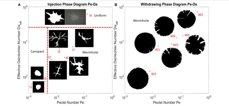 FIGURE 4 | Phase diagram describing characteristic dissolution patterns as a function of Péclet and effective Damköhler number