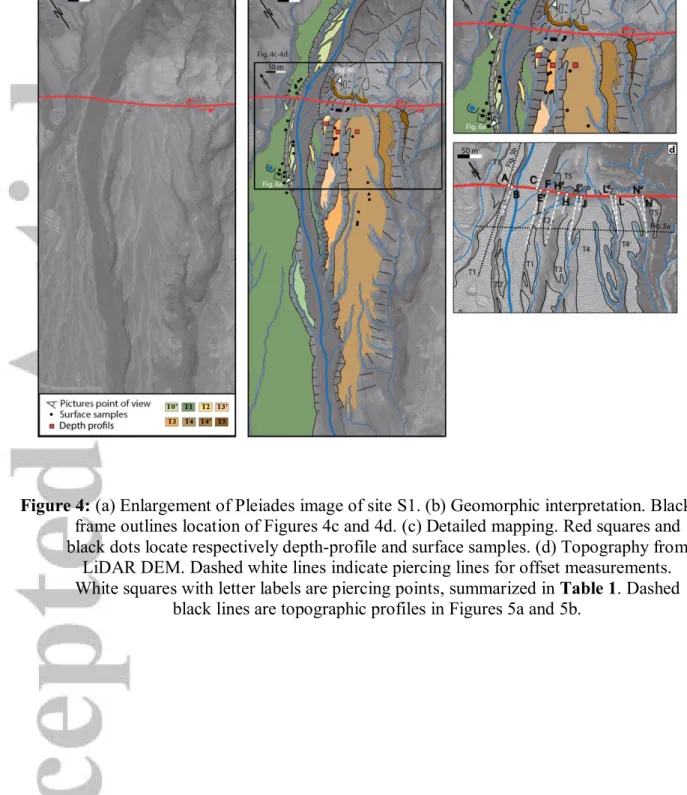 Figure 4: (a) Enlargement of Pleiades image of site S1. (b) Geomorphic interpretation