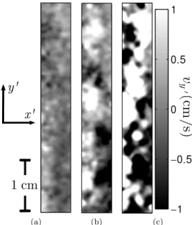 FIG. 8: Corresponding to Fig. 7. Snapshots of the horizontal v y ′ -velocity component in the 52 ◦ view