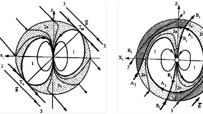 Fig. 6. Meridional section including northward IMF in the spherical terrestrial magnetospheric model (Alexeev and Belenkaya, 1983).