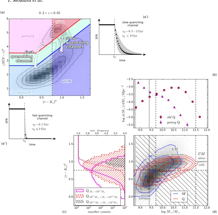 Figure 3. NUVrK / stellar-mass selection scheme of the di ff erent classes of galaxies adopted in our analysis