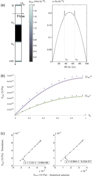 Figure 2. (a) Left: density of the water phase in a lattice 10 × 100.