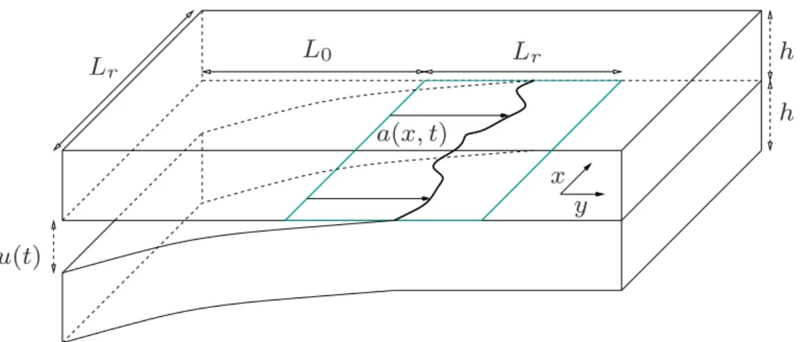Figure 1. Geometry of the modeled configuration. The square of dimension L r × L r represents the area where we model the crack front propagation.