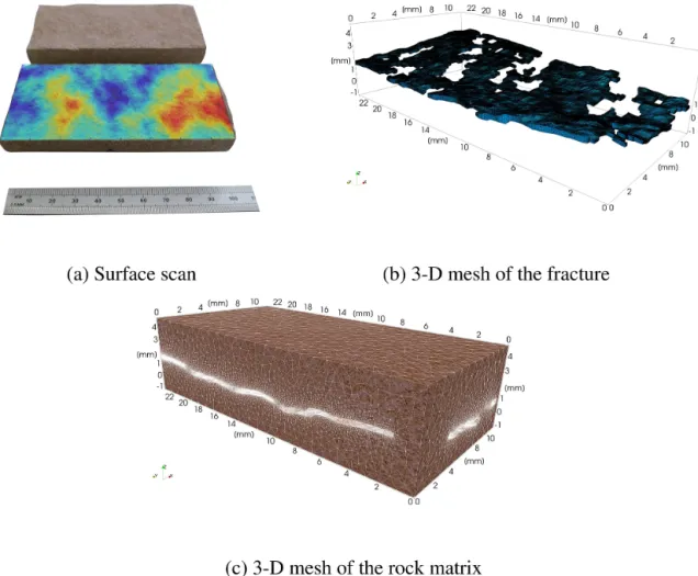 Figure 4. Definition of 3-D domains, all physical surfaces, and interfaces between the fracture and the surrounding rock matrix.
