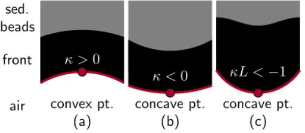 FIG. 5. (Color online) Schematic cross section of the cell at the front. The front thickness (L) is defined to be the length of the region of beads which fills the whole cell gap.