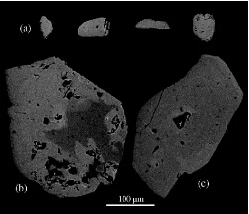 Fig. 6. BSE images of monazite grains from Rocles leucogranite and dykes. (a) Rocles  granite: note common micro-inclusions and irregular grain boundaries related to alteration  processes and mineral replacement, especially allanite, huttonite