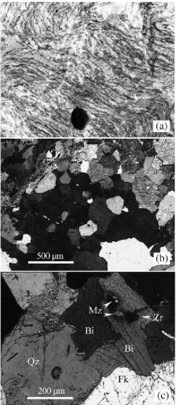 Fig. 2. (a) Outcrop-scale picture of Puylaurent migmatite: dark-coloured layers are biotite-rich