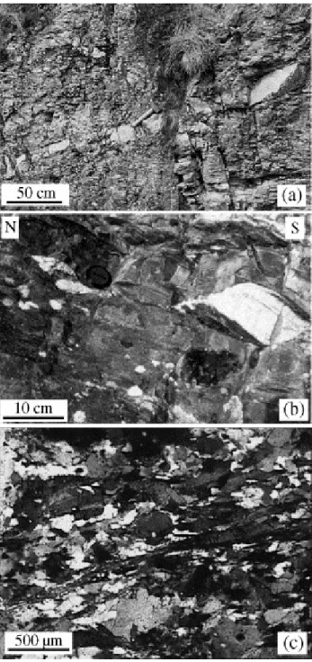 Fig. 3. (a) Example of granite dykes that transect the migmatitic augen gneiss. (b) Dykes are boudinaged with  sigmoidal shape showing top-to-the north shearing