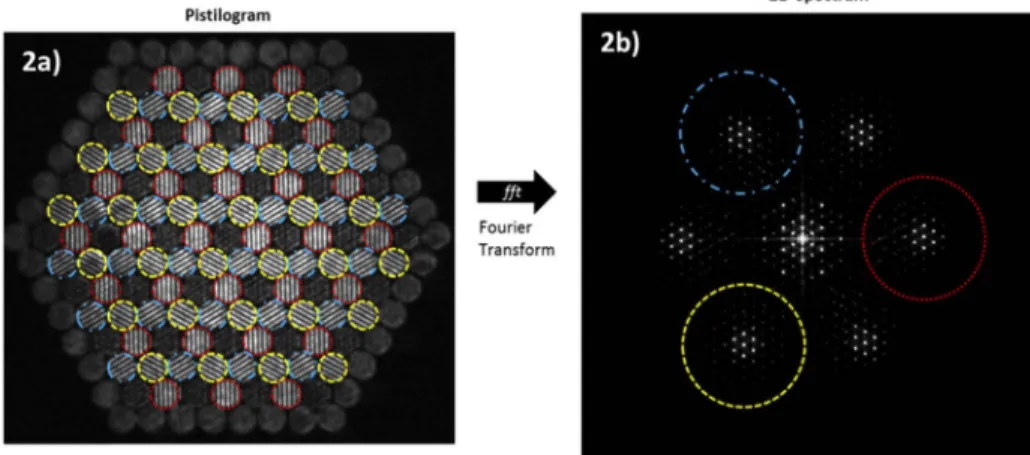 Fig. 2. A pistilogram of a hexagonal meshed segmented wavefront (2a), and its corresponding Fourier plane (represented in 2D powerspectrum) (2b)