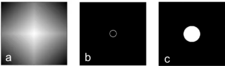 Fig. 2. a: arg(m) - shape of the pyramid mask. b: w - modulation func- func-tion. c: I p - pupil shape.