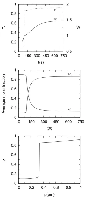 FIG. 9: From top to bottom: time dependence of W and the critical nucleus composition x ∗ , time dependence of the end-member average molar fractions q AC /(q AC + q BC ) and q BC /(q AC + q BC ), and composition profile of long lasting particles