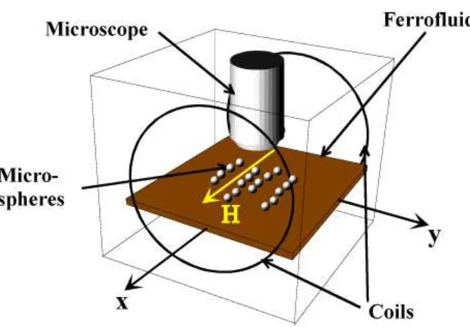 Figure 1: (Color online) The experimental setup.