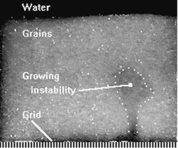 Fig. 4 Side-view of the fluidized granular column. At the onset of the instability, the whole granular layer slightly dilates and then  destabi-lizes; from the side, one observes, at the bottom of the container, the nucleation of a localized region of smal