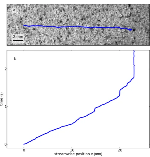 FIG. 4. (a) Particle trajectory seen through the water surface. (b) Streamwise position of the same particle x/d s as a function of time