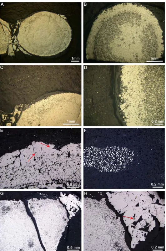 Figure  2:  a.  Scanning  electron  microscopy  (SEM)  images  of  the  polished  surface  of  the  investigated  pyrite  nodules