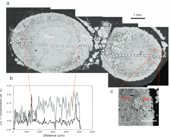 Figure 3:  δ 56 Fe (a, b),  δ 34 S (c, d) and  Δ 33 S (e, f) profiles across the pyrite nodule 1 (circles) and  nodule  2  (squares)