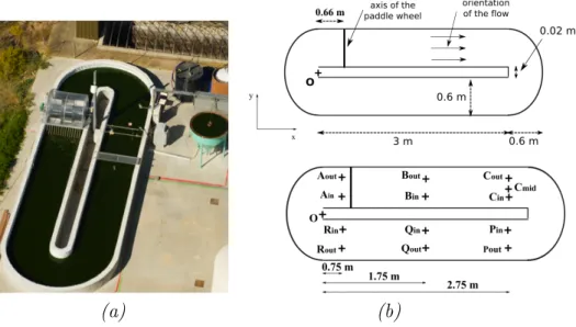 Figure 11: (a) A typical raceway for cultivating microalgae, notice the paddlewheel which mixes the culture suspension, picture from INRA (ANR Symbiose project) and (b) geometry of the  exper-imental raceway, location of the paddlewheel and position of the