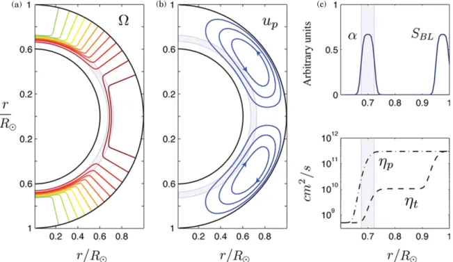 Figure 2. Components defining the class of solar dynamo models used in this study. (a) Isocontours of the angular velocity Ω ; (b) Meridional circulation streamlines;