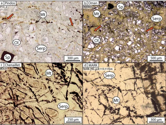 Figure 7. Photomicrographs under parallel nicols of the typical mesh texture observed in our serpentinized peridotites from (a–c) ophiolite complexes and (d) abyssal area
