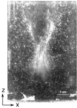Fig. 8. Hemispherical cluster of bubbles in the neighborhood of a rigid surface (40 W).