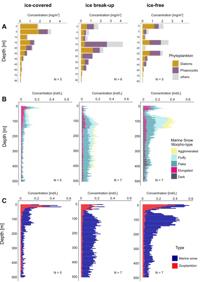 Fig. 5 Coupling between phytoplankton, marine snow morphotypes, and zooplankton among periods over de ﬁ ned sea ice coverage phases in Fram Strait
