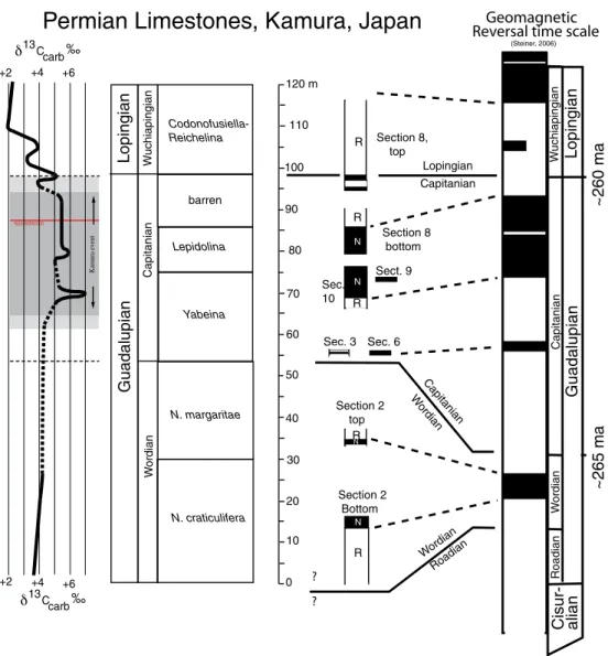 Fig. 6. Magnetostratigraphy of the Permian Limestones of Kamura, Kyushu, Japan, compared with biostratigraphic and carbon isotope constraints