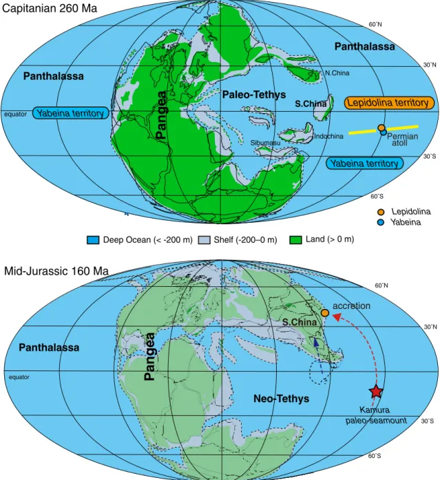 Fig. 7. Paleogeographic maps showing location of the Kamura seamount in late Permian and Jurassic time