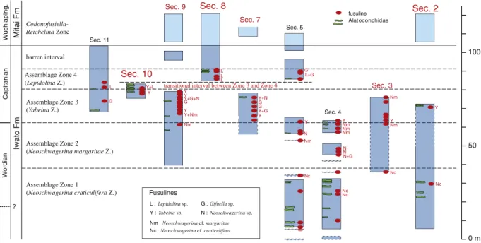 Fig. 3. Biostratigraphic correlation based on Fusuline zones for the localities sampled in the Kamura area