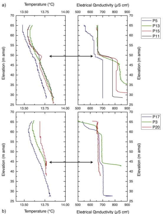 Fig. 11 shows the different logs registered at the Triadou borehole. Electrical resistivity log (Fig