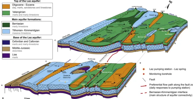 Fig. 13. Three-dimensional conceptual model of the main hydraulic connectivity structures of the Lez aquifer (modified from Paloc, 1979).
