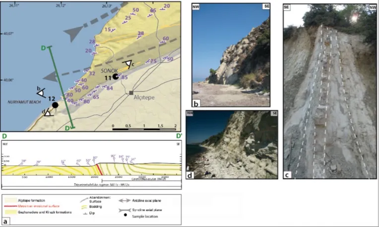 Figure 6. Detail of Gelibolu frontal Anticline (see Figure 5 and table S1 for location)