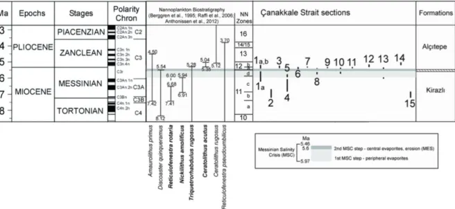 Figure 7. Chrono-biostratigraphy of the late Miocene – early Pliocene calcareous nannoplankton and inferred ages  for   studied   sections   in   the   Çanakkale   region   (Melinte-Dobrinescu   et   al.,   2009)