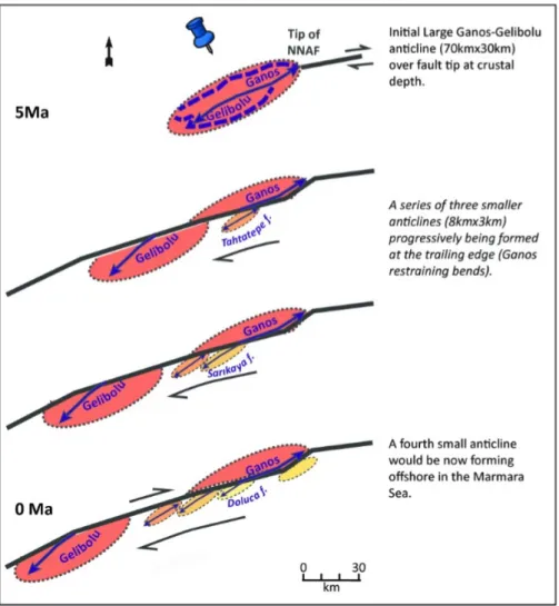 Figure 11. Evolution of folding in the Dardanelles (in the last 5 Ma). From top to bottom: 