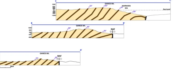 Figure 4. Structural sections across the Ganos half-Anticline. Folded late Eocene – late Oligocene  units (bedding in brown) are parallel to the NAF away from the fault and become oblique and turn  near the fault (A-A’, B-B’, C-C’; see Figure 3 for locatio