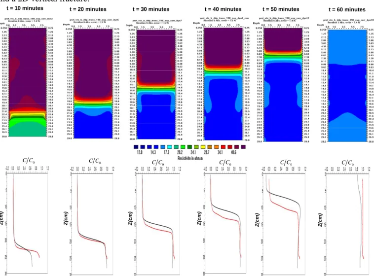 Figure 3. 2D ERT tracer monitoring and comparison with the vertical variation of relative concentrations estimated  on each time-step in the middle of the porous medium
