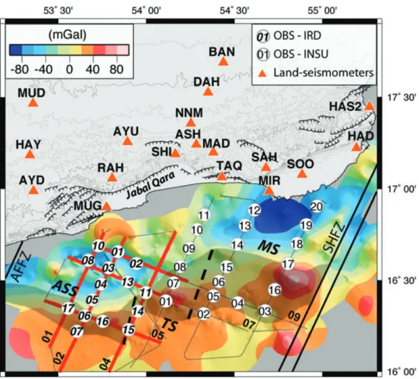 Figure 2. Free-air gravity anomaly map on the Oman margin with locations of OBS, land-stations and wide-angle seismic lines during the Encens experiment.