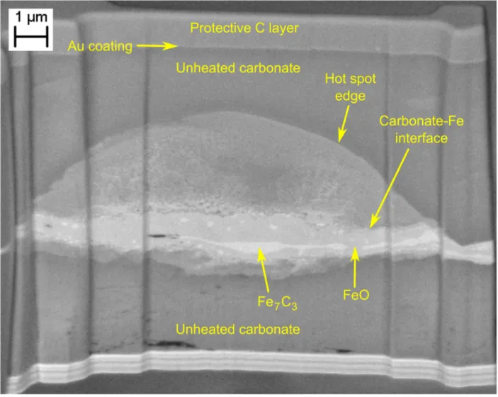 Figure 1: Backscattered scanning electron image recorded at 4 kV of dolomite-iron reaction 508 