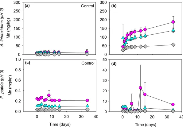Figure 7. Mn concentration in the leachate as a function of time, during (bio)leaching experiments of  the fresh tailing sample with A